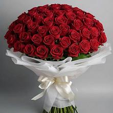 Букет 101 Красная роза Блэк Мэджик в Завьялово
