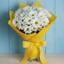 Букет цветов из:  Хризантемы #REPLACE_PRED# Завьялово