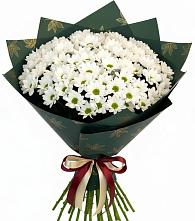 Букет цветов из:  Хризантемы в Завьялово