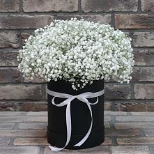 Цветочная композиция из Гипсофила в шляпной коробке в Завьялово