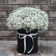 Цветочная композиция из Гипсофила в шляпной коробке в Завьялово